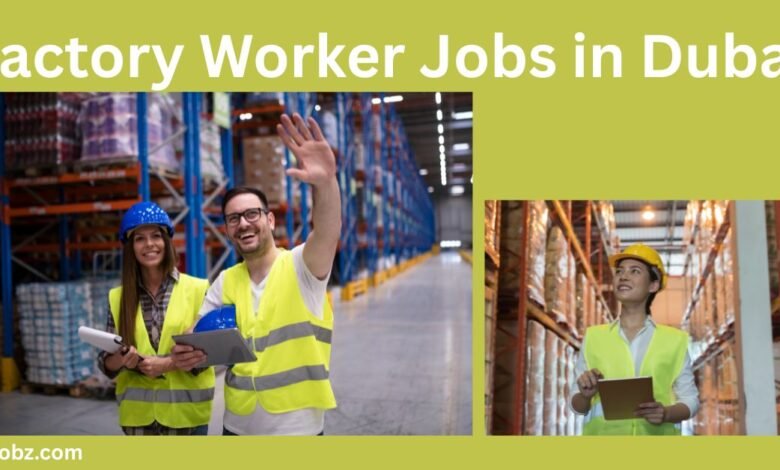 Factory Worker Jobs in Dubai