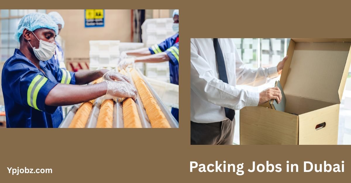 Packing Jobs in Dubai